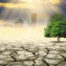 Graphic showing city ravaged by climate change with a green tree growing in cracked dry ground