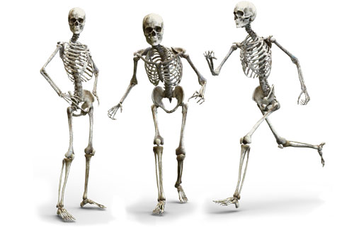 Skeletons exercising