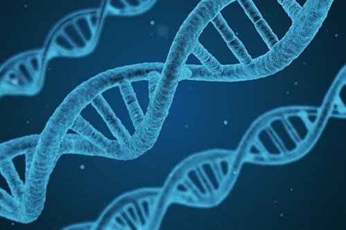 Dna