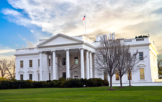 white house stock